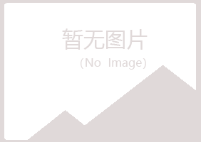 河曲县旧店美容有限公司